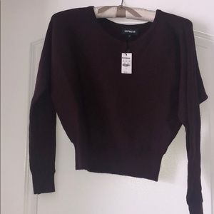 Express cropped sweater size XS